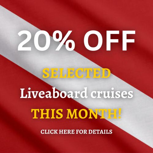 Liveaboard 20% discount offer