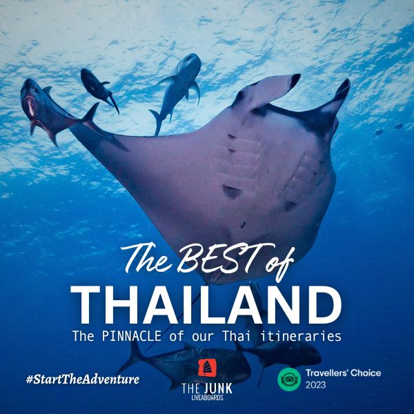 The BEST of Thailand